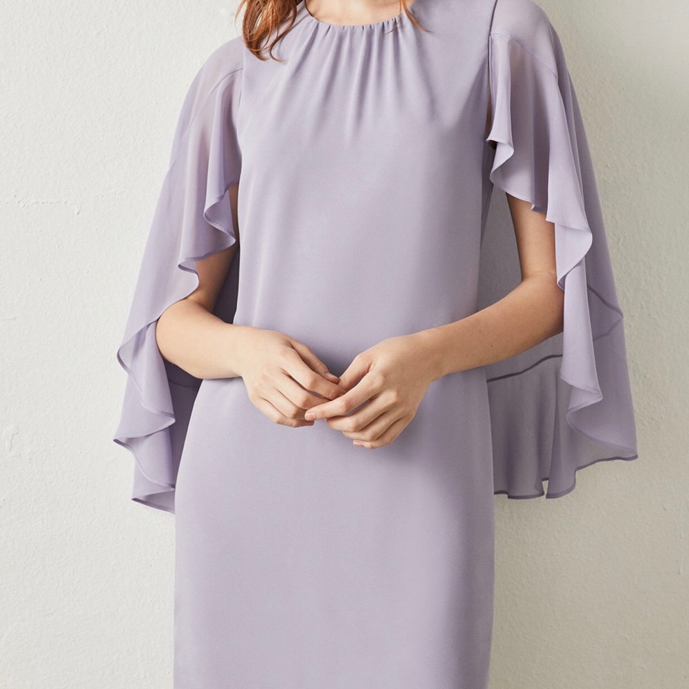 BCBG MaxAzria Cape Sleeve Dress NWT